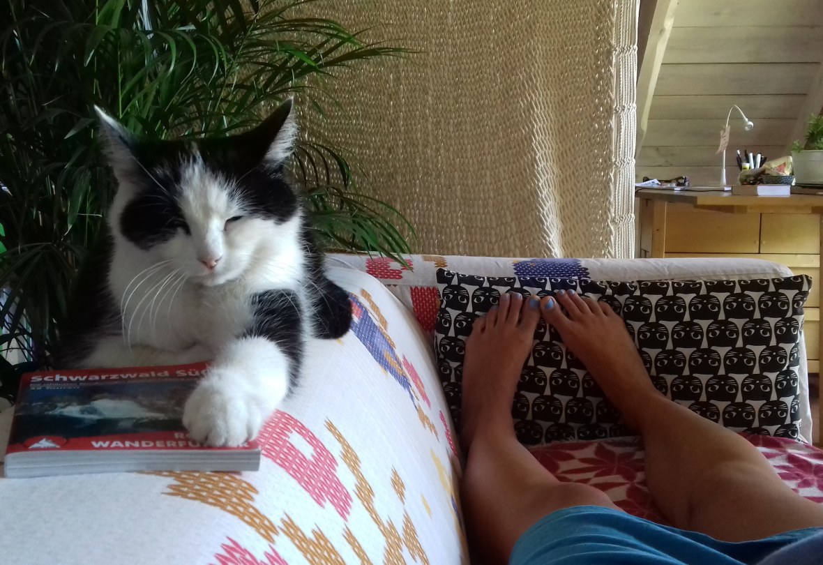 IMG_20180825_105529_543[1]